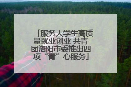 服务大学生高质量就业创业 共青团洛阳市委推出四项“青”心服务